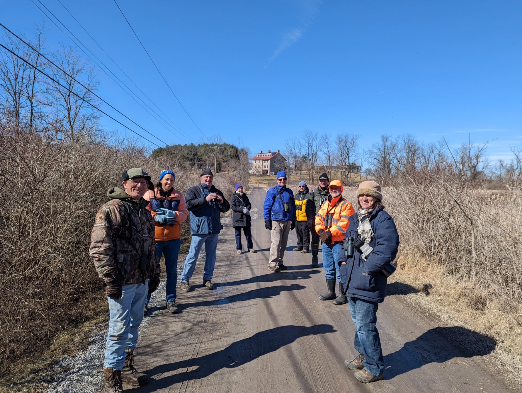A group of people with binoculars on a dirt road surrounded by shrubs and marsh vegetation.