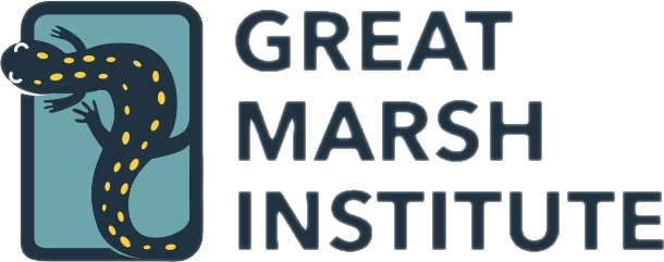 Great Marsh Institute